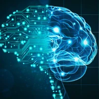 Congcong Wang's profile picture