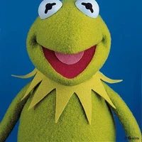 Patrice Lopez's profile picture