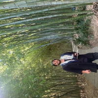 Curtis Browne's profile picture