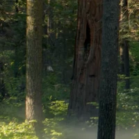 CleanCLIP's profile picture