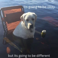 phakphum artkaew's profile picture