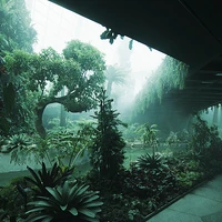 daan's profile picture