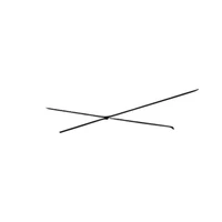 obscura's profile picture