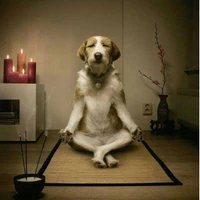 Myron Drawdy's profile picture