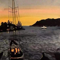 NightSailingShip's profile picture