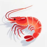 Krill 🦐's profile picture