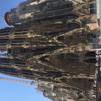 Test's profile picture