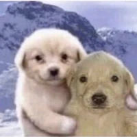 Ta-Chi Lin's profile picture