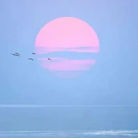 Hongda Liu's profile picture