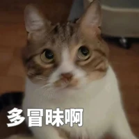 dongwenyao's profile picture