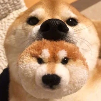 vla-ustc's profile picture