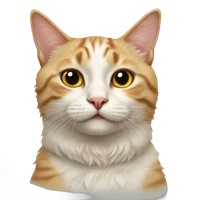 Junyong Lin's profile picture