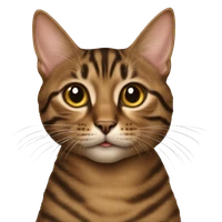 Kiyah Jade Francis's profile picture