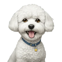 Esther Sun's profile picture