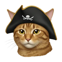 yamen's profile picture