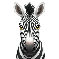 Hamza BEN TAIEB's profile picture