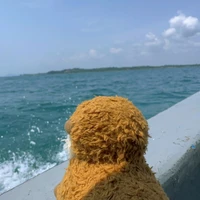 Ziyue Wang's profile picture