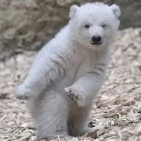 Jason Chen's profile picture