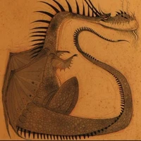 Cagatay Isil's profile picture