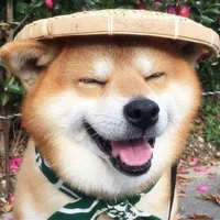 Xuehai Pan's profile picture